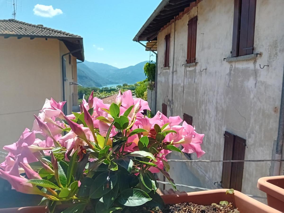 Casa Di Ariel Vila Carlazzo Exterior foto